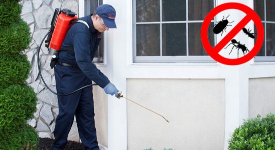 Çiftlikköy Sivrisinek İlaçlama böcek ilaçlama ve haşere kontrolü — ilaclama-tr.com